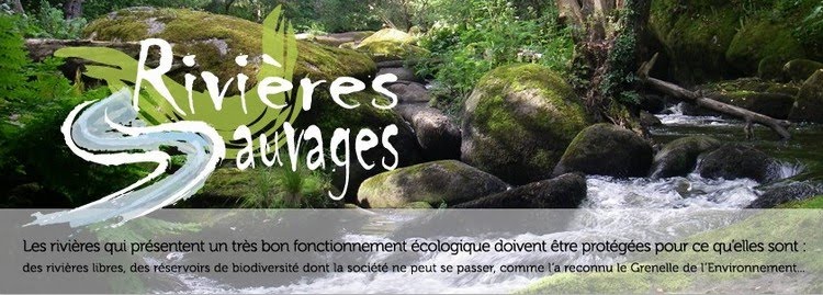 http://www.rivieres-sauvages.fr/
